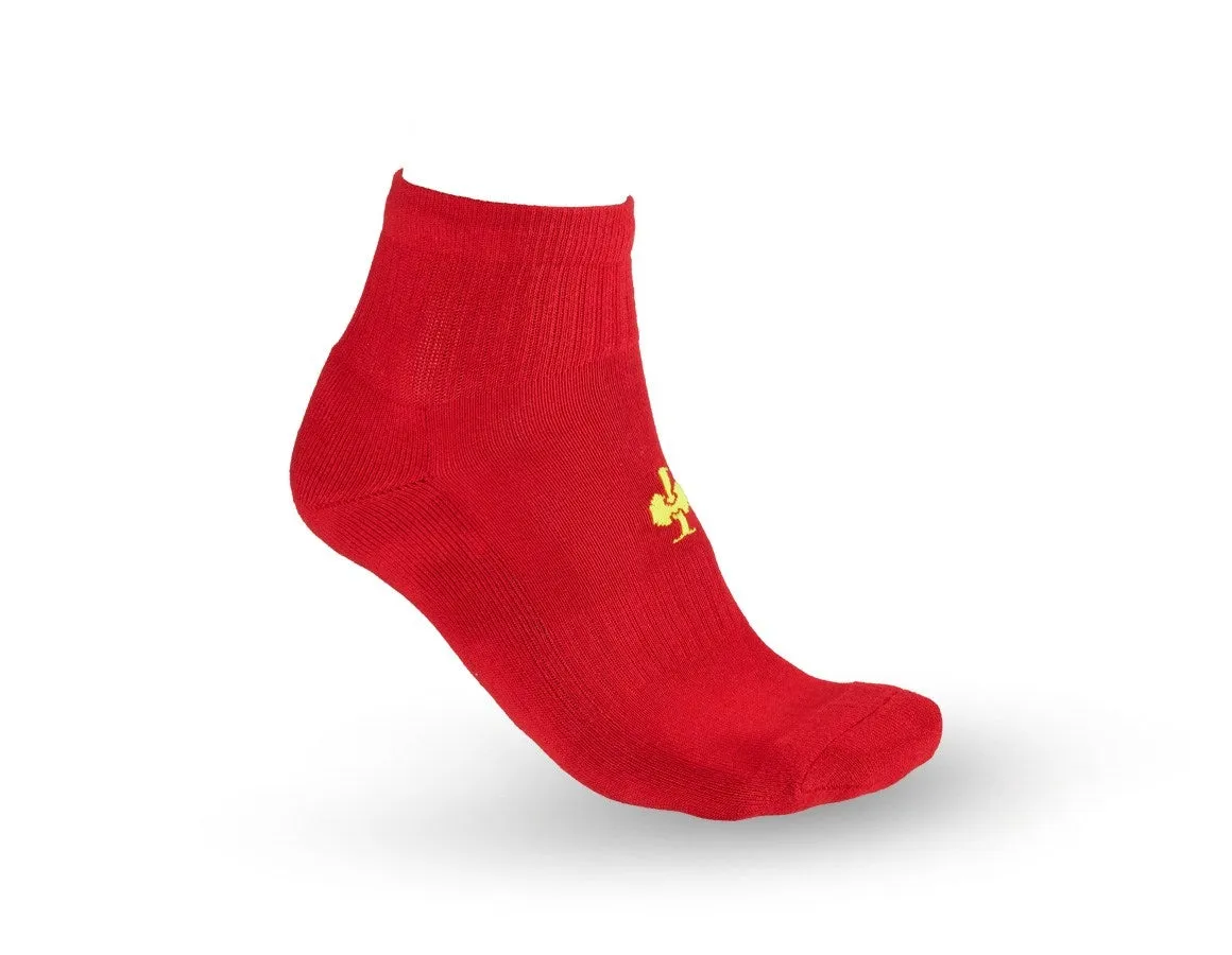 e.s. Allround socks Classic light/mid,pack of 3