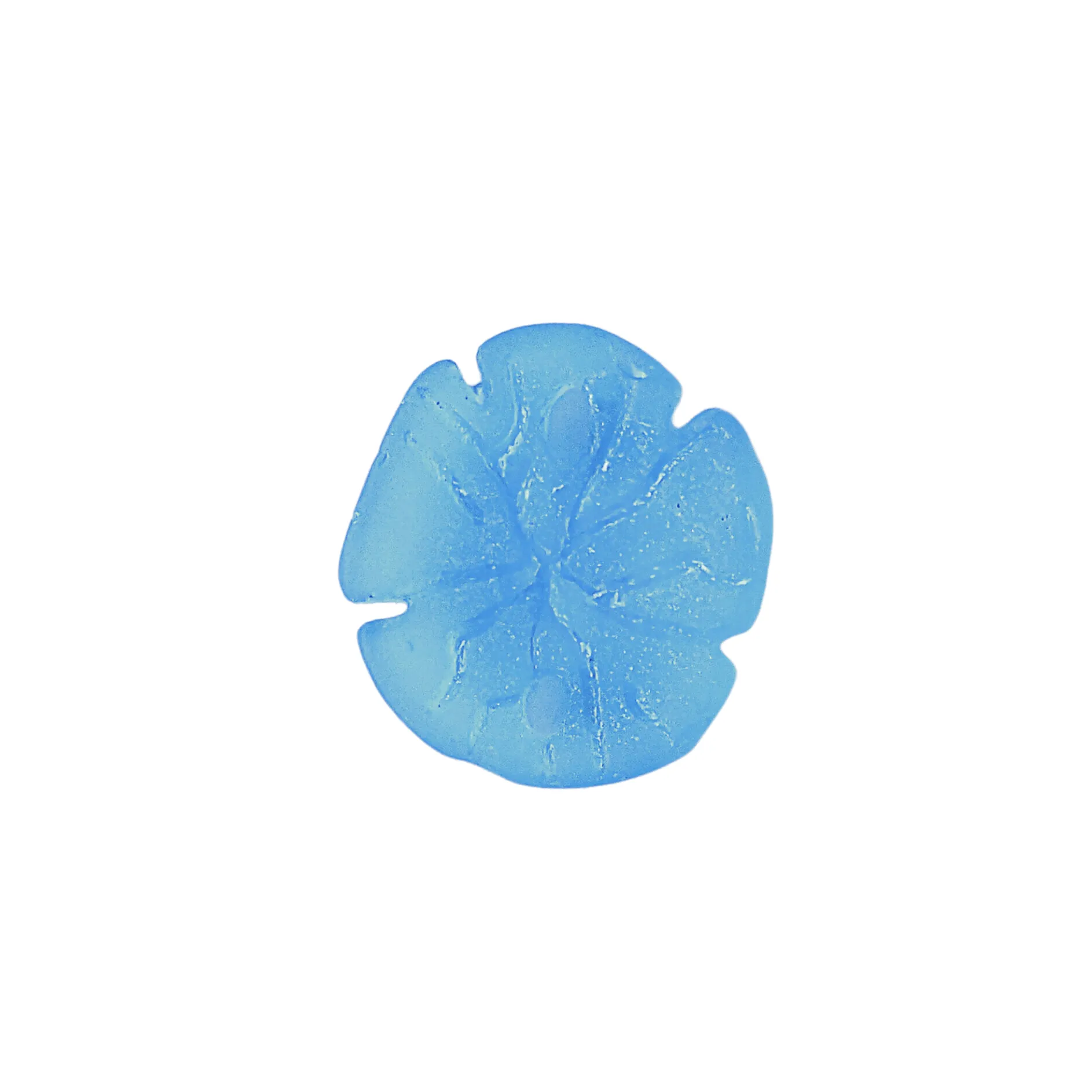 Sea Glass Sand Dollar Pendant