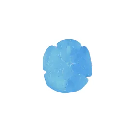Sea Glass Sand Dollar Pendant