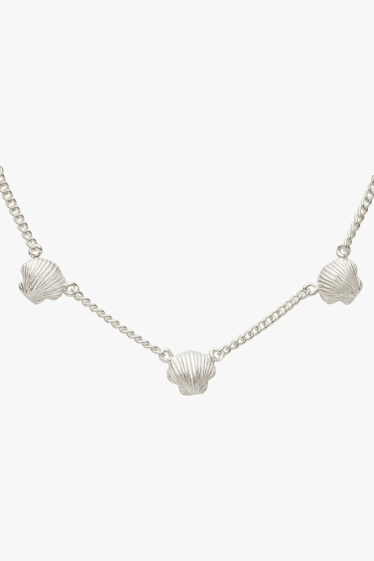 Shell bracelet silver